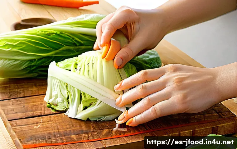 일본 김치 제조 방법 - **Prompt 1: The Gentle Art of Kimuchi Preparation**
    "A close-up shot of elegant, clean hands (ge...